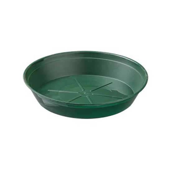 Immagine di SOTTOVASO TONDO VERDE D 10 CF. 100 PZ.