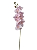 Immagine di RAMO ORCHIDEA CM 90