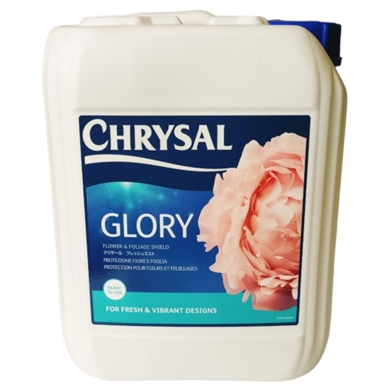 Immagine di CHRYSAL GLORY NUOVA TANICA 5 LT.