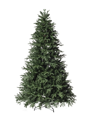 Immagine di ALBERO PINO NORDMANN CM 210 C/3200 TIPS