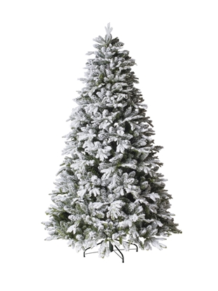 Immagine di ALBERO PINO NORDMANN C/NEVE CM 210 C/3200 TIPS