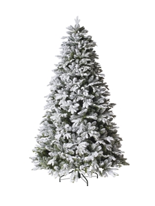 Immagine di ALBERO PINO NORDMANN C/NEVE CM 240 C/3850 AGHI